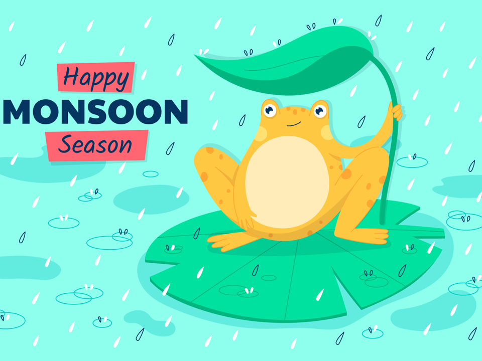 梅雨時期のギフトに✨