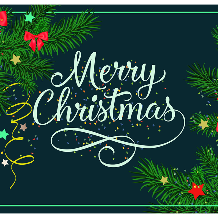 メリークリスマス🔔