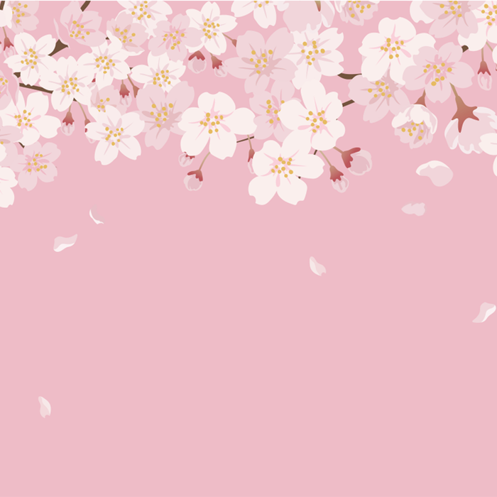 オケージョンギフトに！！